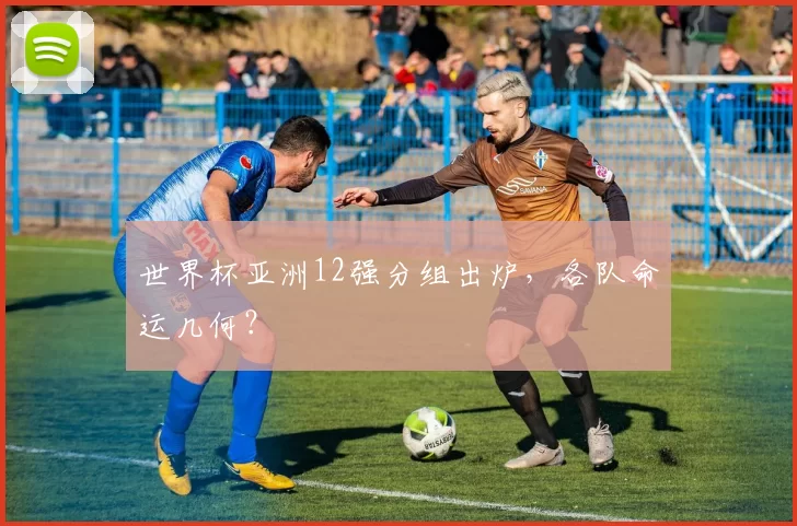 世界杯亚洲12强分组出炉，各队命运几何？
