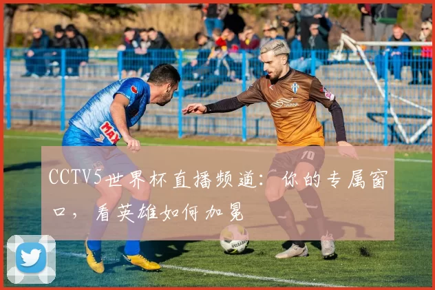 CCTV5世界杯直播频道：你的专属窗口，看英雄如何加冕