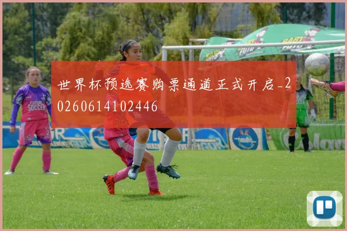 世界杯预选赛购票通道正式开启_20260614102446