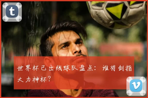 世界杯已出线球队盘点:谁将剑指大力神杯?
