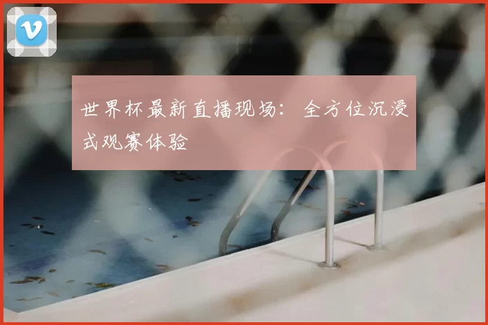 世界杯最新直播现场：全方位沉浸式观赛体验