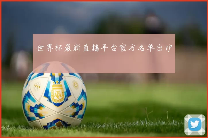 世界杯最新直播平台官方名单出炉