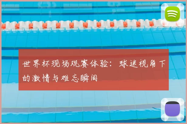 世界杯现场观赛体验:球迷视角下的激情与难忘瞬间