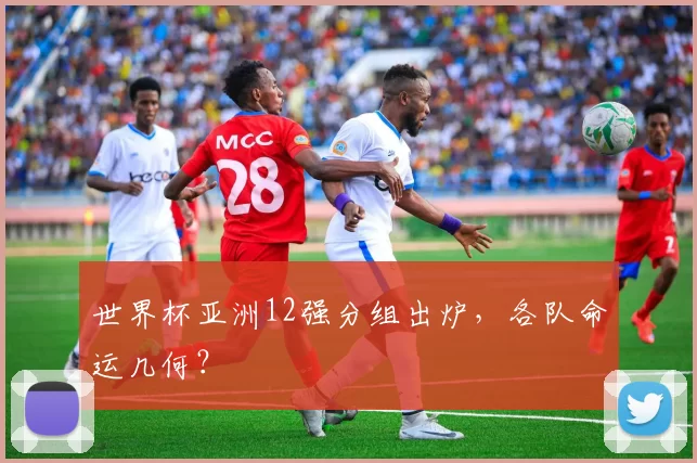 世界杯亚洲12强分组出炉，各队命运几何？