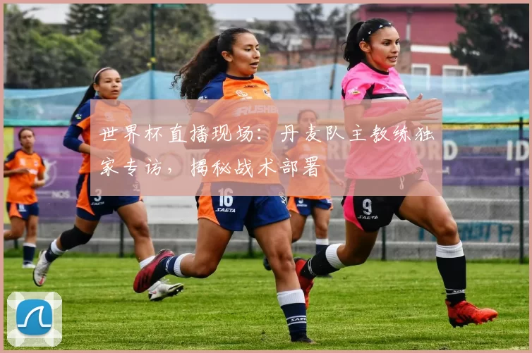 世界杯直播现场:丹麦队主教练独家专访,揭秘战术部署