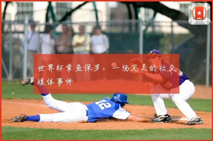 世界杯章鱼保罗,一场完美的社交媒体事件
